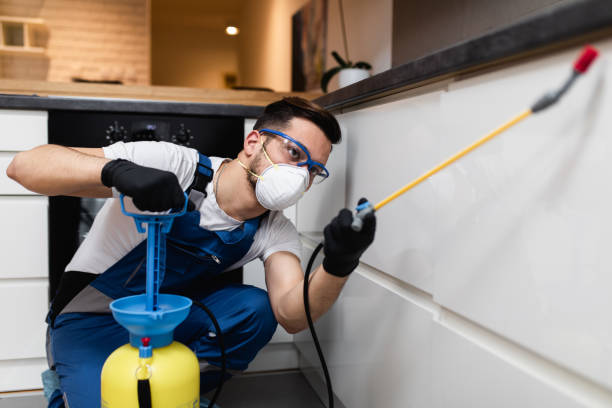 Best Flea Control Services  in Mount Morris, IL