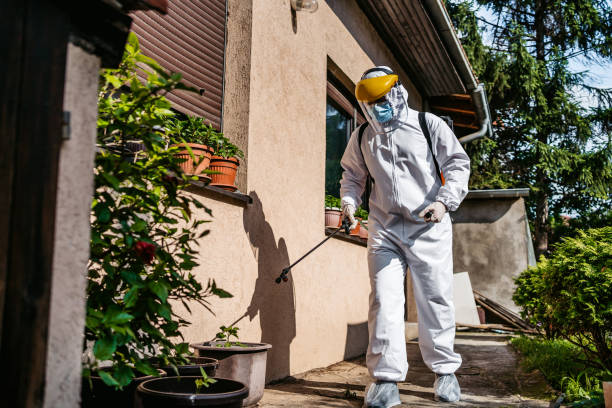 Best Emergency Pest Control  in Mount Morris, IL
