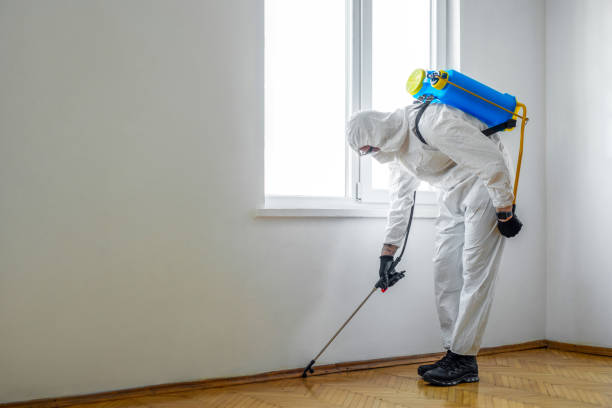 Best Rat Extermination Near Me  in Mount Morris, IL