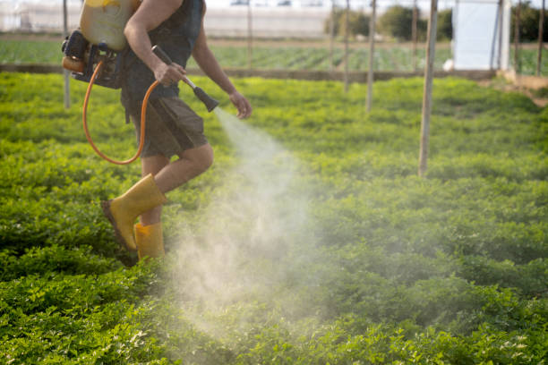Best Commercial Pest Control Services  in Mount Morris, IL