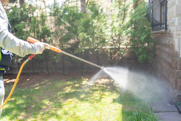 Best Cockroach Control Services  in Mount Morris, IL