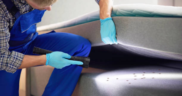 Best Pest Removal Services  in Mount Morris, IL