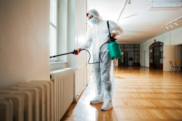 Best Affordable Pest Control Services  in Mount Morris, IL